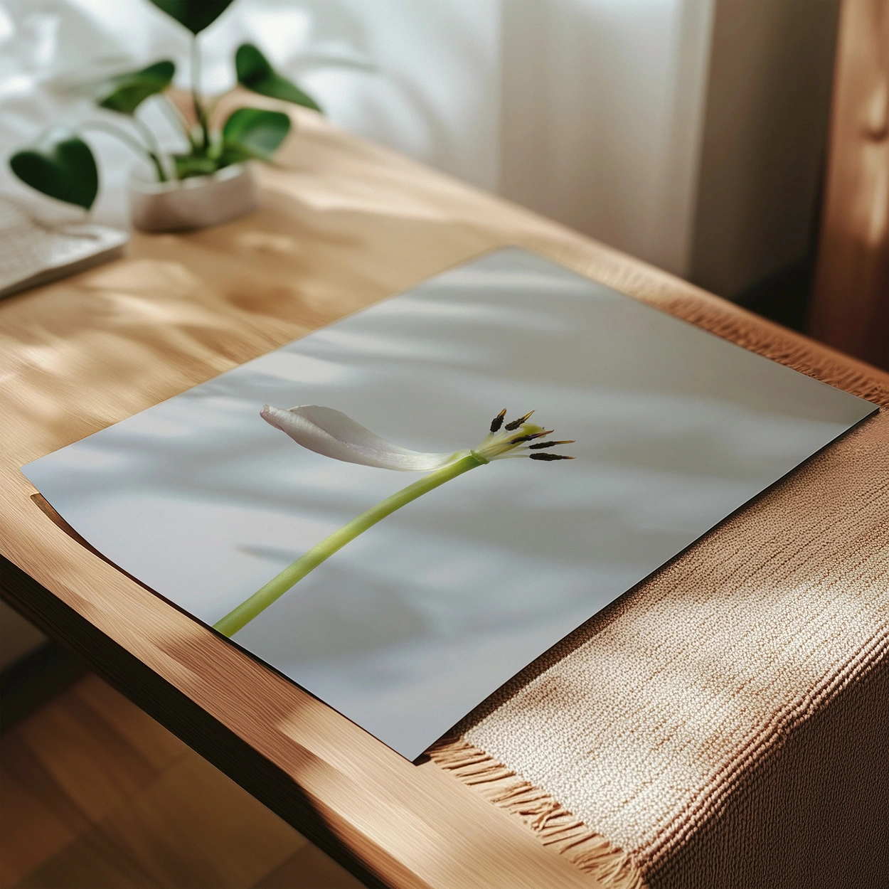 RAIN-BRINGS-FLOWERS-05
